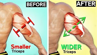 How To Build Your WIDER Triceps workout Effective Exercises [upl. by Nitsir]