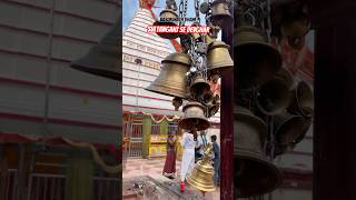 basukinath dham deoghar bolbam babadham basukinath sultanganj ganga [upl. by Einohpets]