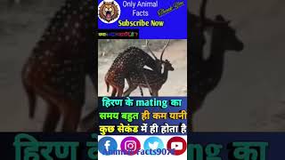 Deer 🦌 बारे में रोचक तथ्य 🥶ytshort viral fact animals trending shortfeed [upl. by Katy538]