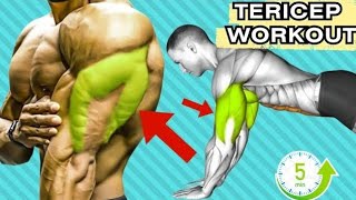 5 triceps workout at gym for beginners [upl. by Stoffel77]