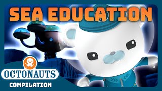 Octonauts  🌊 Underwater Sea Adventures 🤿  3 Hours Full Episodes Marathon [upl. by Kuehnel4]