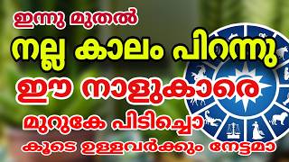 ശുക്രൻ തെളിയുന്ന നക്ഷത്രങ്ങൾ Astrology malayalam [upl. by Ruhl]