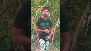 Hindi gaan India reels video like comment follow share Sonata subscribe 🔥🔥🔥 [upl. by Otha869]