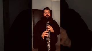 Haggard  Garmana  Herr Mannelig  Clarinet Cover [upl. by Kaliski]