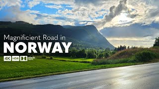 4K Scenic Drive  Magnificient Drive through Forest and Along the Fjord  Ørsta amp Volda [upl. by Vallonia]