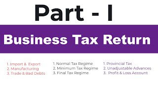 Filing Your First Professional Business Tax Return Everything You Need to Know Part 1 [upl. by Ingram]