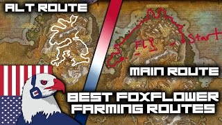 Best Foxflower Farming Route still good with flying  Legion Gold Farming 72 with Herbalism [upl. by Celeste594]