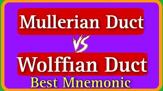 Mullerian Duct Vs Wolffian Duct Mnemonic  Mullerian Duct Anomaly  Wolffian Duct Anomaly upsccms [upl. by Notseh]