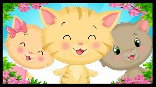 Trois petits chatons et leurs mitaines  Comptines anglaises en français pour les enfants  Titounis [upl. by Weiler]