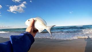 SURF FISHING BROADBEACH [upl. by Ronoh]