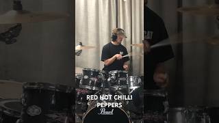 RED HOT CHILLI PEPPERS CALIFORNIACATION🥁shorts [upl. by Hiro]