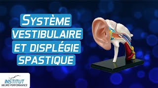 Système vestibulaire correction et dysplegie spastique [upl. by Stoecker977]