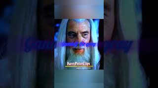 quotIm Gandalf The Whitequot  Glory Slowed gandalf lotr shorts [upl. by Verna]