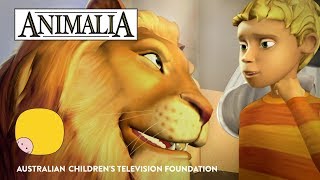 Animalia  Series Trailer [upl. by Antone]