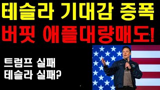 테슬라 기대감 증폭 워렌버핏 애플 또 대량매도 무슨일 일이야 트럼프 실패하면 테슬라도 실패인가 테슬라 슈퍼차저의 기술 혁신 레거시 자동차 업체들 심각한 상황 [upl. by Selhorst768]