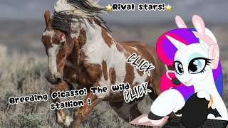 Breeding Picasso The wild stallion ⭐️Rival stars⭐️ [upl. by Urita]