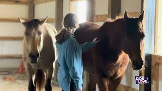 Equine Therapy Heals Trauma [upl. by Adilen]