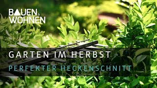 Garten im Herbst Profitipps zum Hecke schneiden  BAUEN amp WOHNEN [upl. by Arotal]