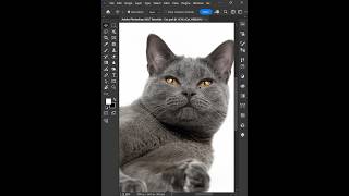 Adobe Photoshop 2025 Tips  Clone Stamp Tool ducthangds phonk gigachadtheme [upl. by Muffin]