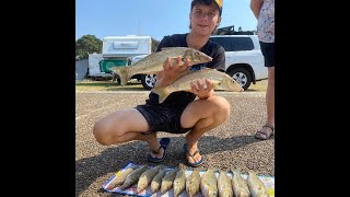 Extreme Whiting fishing NSW  Biggest going 45cm [upl. by Nyrek]