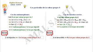 Réduction des endomorphismes partie N° 1 Les valeurs propres [upl. by Nylaf]