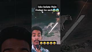 Doggy ki hoshiyari dekh rahe ho😂😂 trollface dog doglover animals funny  reaction video comedy [upl. by Gillett]