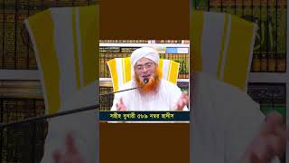 সাহাবারা নামাযের ক্ষেত্রেও অনুসরণীয়  Nasiruddin Chandpuri  মুফতী নাসীরুদ্দীন চাঁদপুরী শর্টস [upl. by Marjorie]