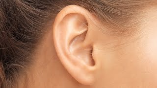 How the Human Ear Works [upl. by Leschen]