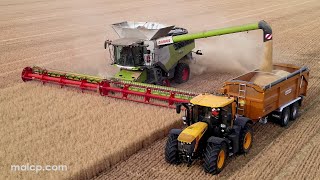 4k Harvest 2022 Claas Lexion 8900 TT harvesting Oats on Mendlesham Airfield  final part now in 4k [upl. by Norvall595]