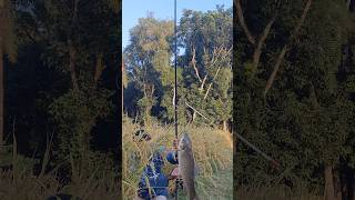 Big fish catching in field Fishing Reels [upl. by Gustin]