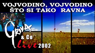 GRIVA amp Co  VOJVODINO VOJVODINO STO SI TAKO RAVNA Live 2002 [upl. by Taft]