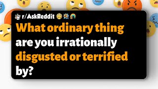 rAskReddit  What ordinary thing are you irrationally disgusted or terrified by [upl. by Laszlo]