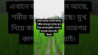 সবার ভালো বাসা চাই august28 [upl. by Arel]