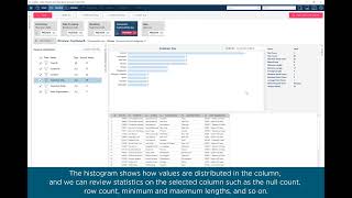 Get Started with Altair Monarch  Part 3  Preview Data [upl. by Borszcz]