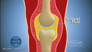 Synovial Fluid [upl. by Sum531]