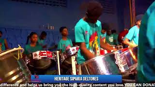 STEELPAN SIPARIA DELTONES 30 [upl. by Biel512]