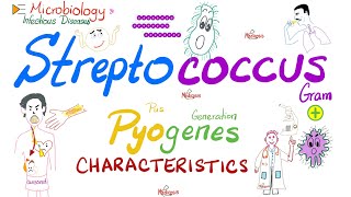 Streptococcus Pyogenes  Group A Strept GABS Characteristics  Microbiologyamp Infectious Diseases [upl. by Fredrick]