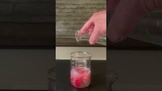 Strawberry DNA Extraction The Boogers of Life [upl. by Asit]