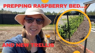 How to Prep Raspberry Bed for Spring and New Trellis  Kokanee and Tulameen [upl. by Derfnam70]