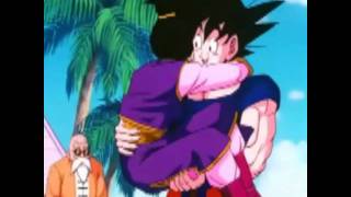 Momentos graciosos de Dragon ball Z [upl. by Chilt773]