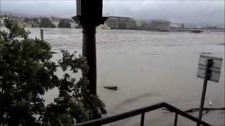 Hochwasser in Linz entlang der Donau am 03062013 [upl. by Kahl]