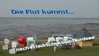 Die Flut kommt  Gezeiten der Nordsee [upl. by Minette]