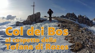 Col dei Bos al cospetto della Tofana di Rozes [upl. by Saixela69]