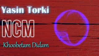 Yasin Torki  Khoobetam Didam DJM6 amp Sajjad Gholipour Remix [upl. by Akitnahs]