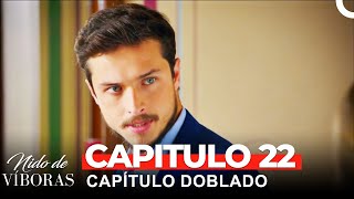 Nido De Víboras Capitulo 22 Dobladas en Español [upl. by Akemehs694]