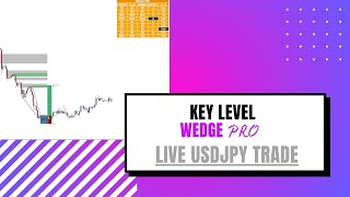 Live M30 UsdJpy Key level wedge pro  13 June 2024 [upl. by Woll]