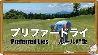 プリファードライ｜Preferred Lies｜ゴルフルール解説 [upl. by Caughey976]