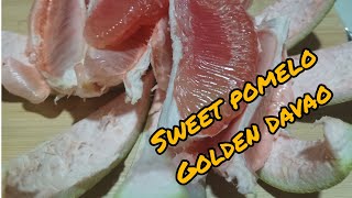 Lets peel pomelo yummy peeling satisfying reverse [upl. by Annoyik]