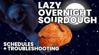 Lazy Overnight Sourdough Bread Schedules  Troubleshooting [upl. by Polash310]