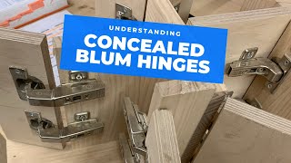 All the main Blum hinge types explained [upl. by Olathe]